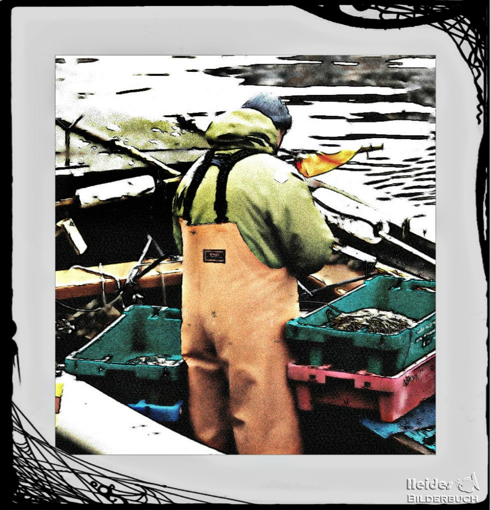 fisherman, Fortsetzung