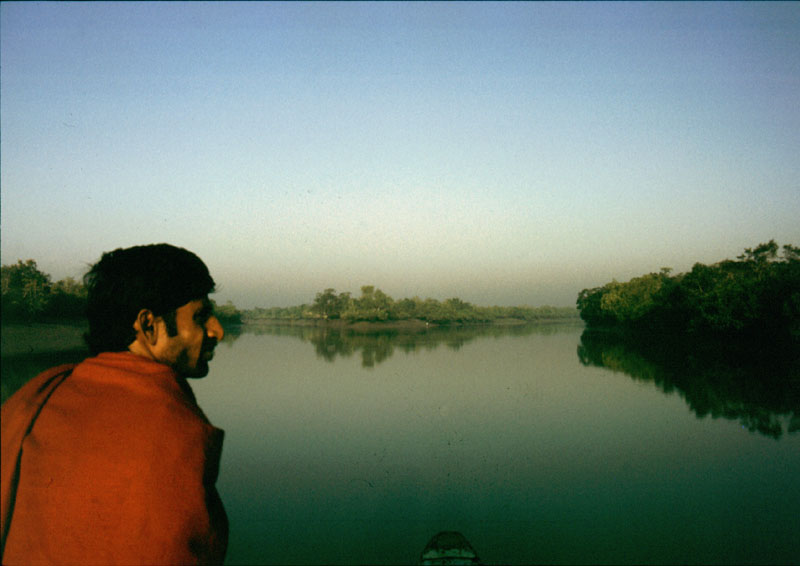 Fisherman in the Sunderbans India