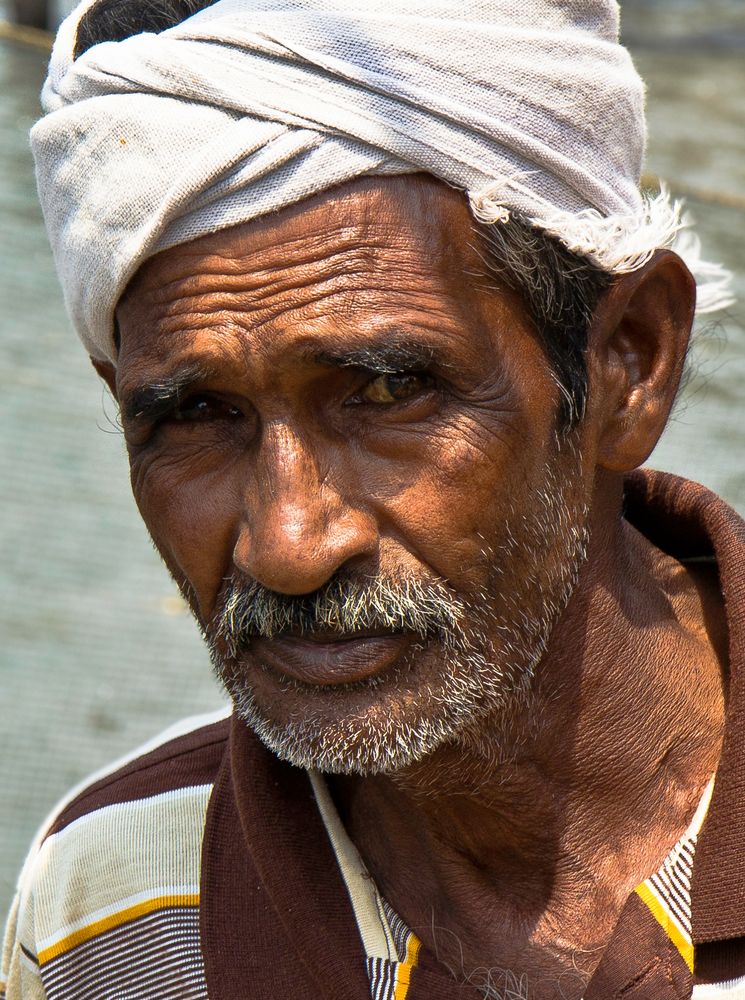 Fisherman India - Fort Cochin I