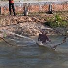 Fisherman throwing a net