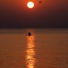 Fisherman with seagull