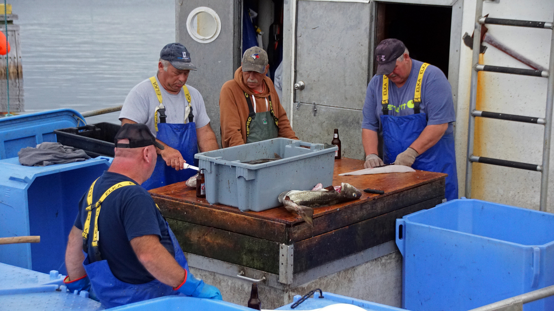 Fisherman`s friend