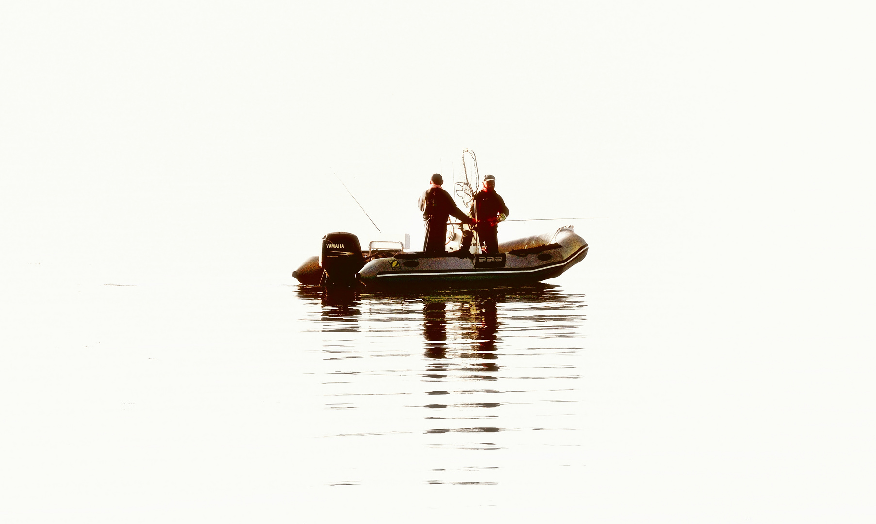 Fisherman`s Friend