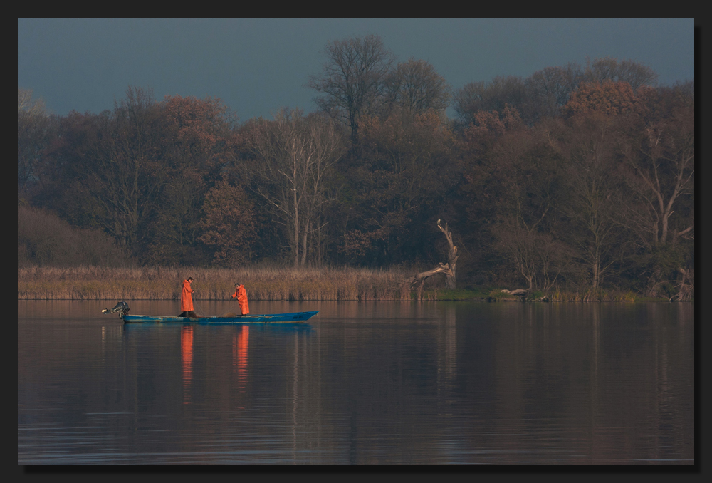 Fisherman´s Friend