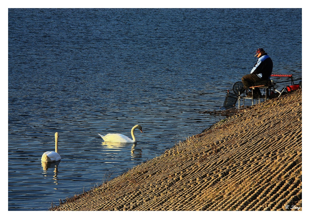 Fisherman's friends