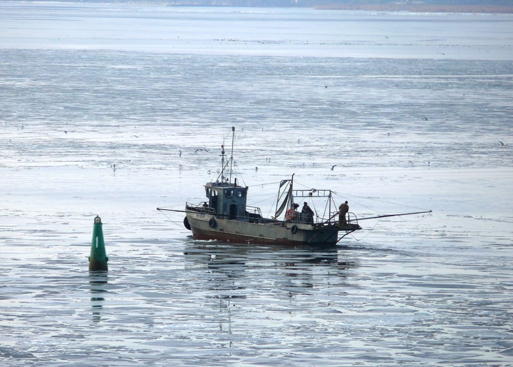 Fisherman`s Morning