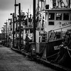 Fisherman's Terminal - Seattle Wa. USA