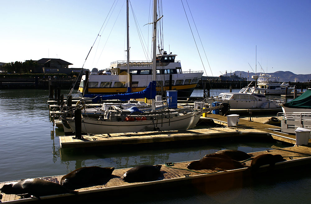 Fishermans Wharf 3