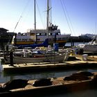 Fishermans Wharf 3