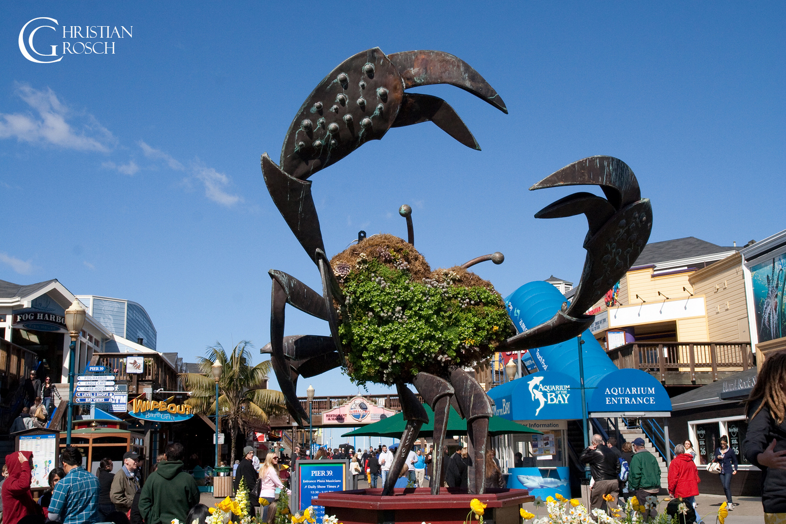 Fishermans-Wharf