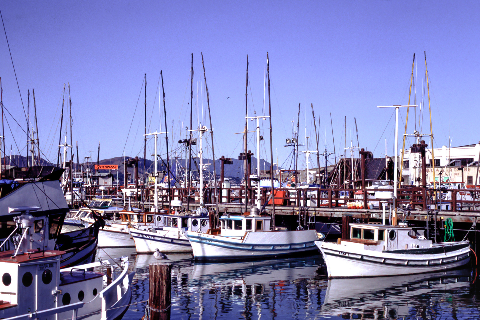 Fisherman's Wharf - Pier 41