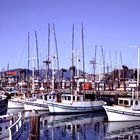 Fisherman's Wharf - Pier 41