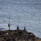 Fishermen and Friends