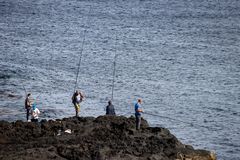 Fishermen and Friends