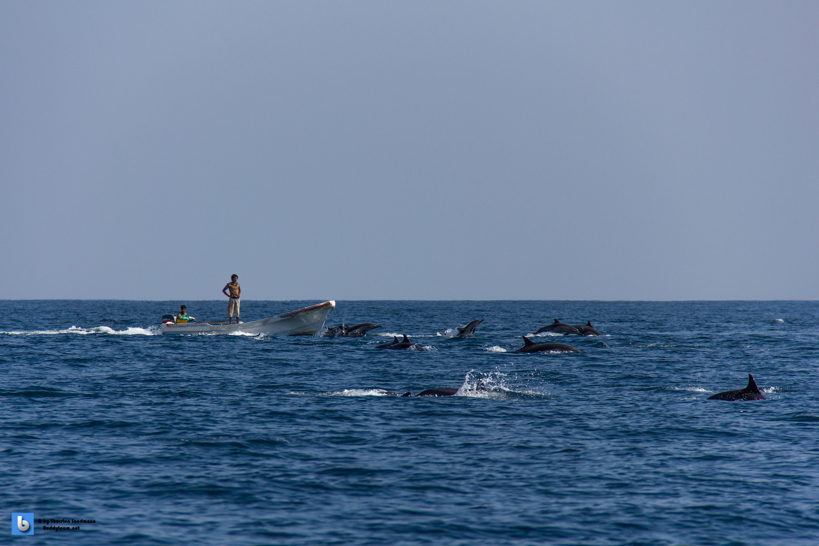 Fishermen and the Dolphins