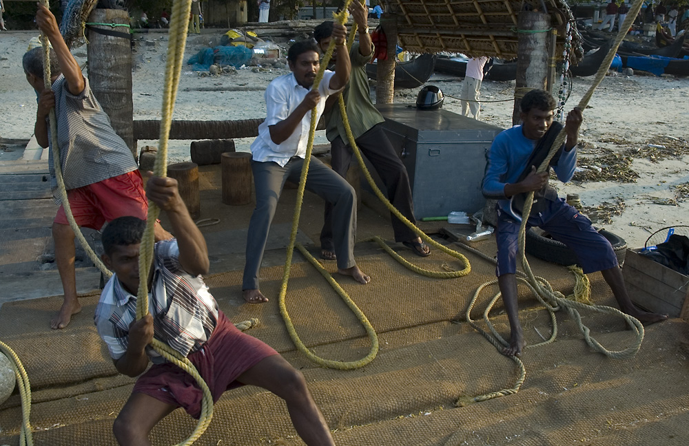 Fishermen at work