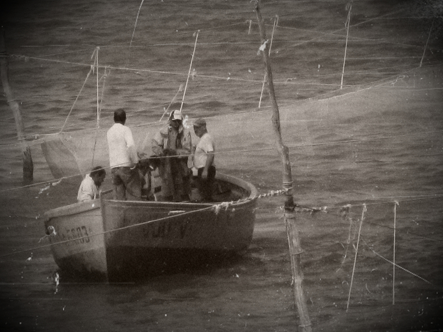 Fishermen at work