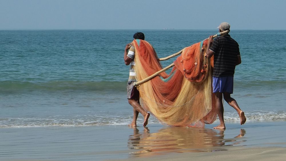 fishermen at work