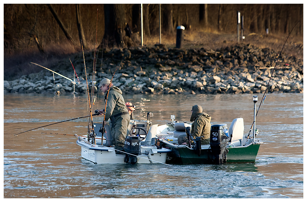 Fishermen Friends