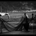 Fishermen in Istanbul