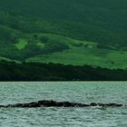 fishermen of the river emerald