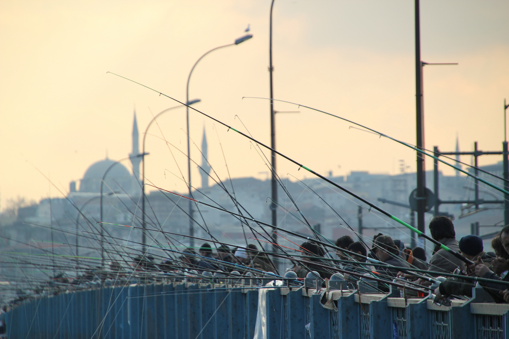 Fishermen on the bridge