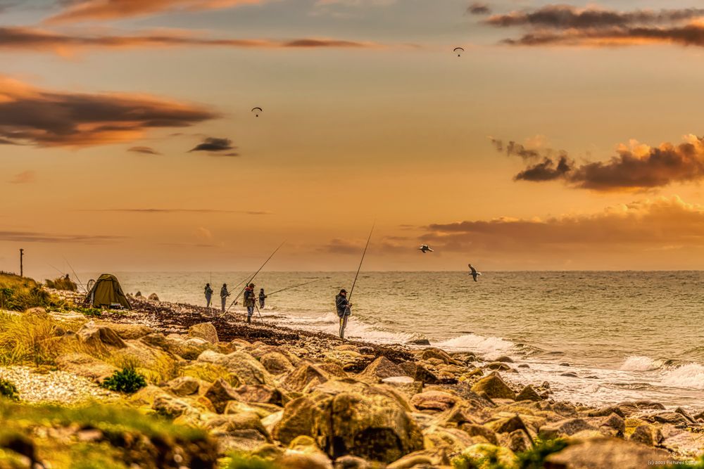 - Fishermen's Friends -