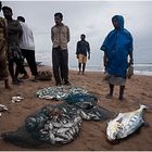 Fishermen's Friends