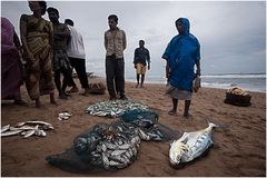 Fishermen's Friends