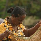 Fisher's woman Negombo