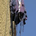 Fisherwoman's flags