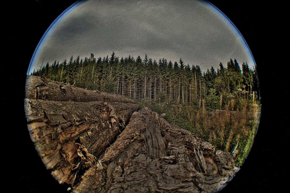 Fisheye + 3 Belichtungen = HDR + Tonemapping = Cool + Gimp = ?