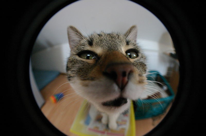 Fisheye-fun2