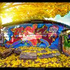 Fisheye Graffiti 2012 Zürich