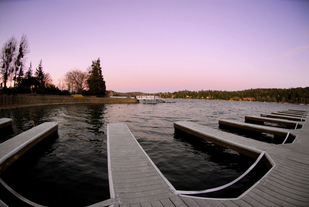 Fisheye in Arrowhead Lake