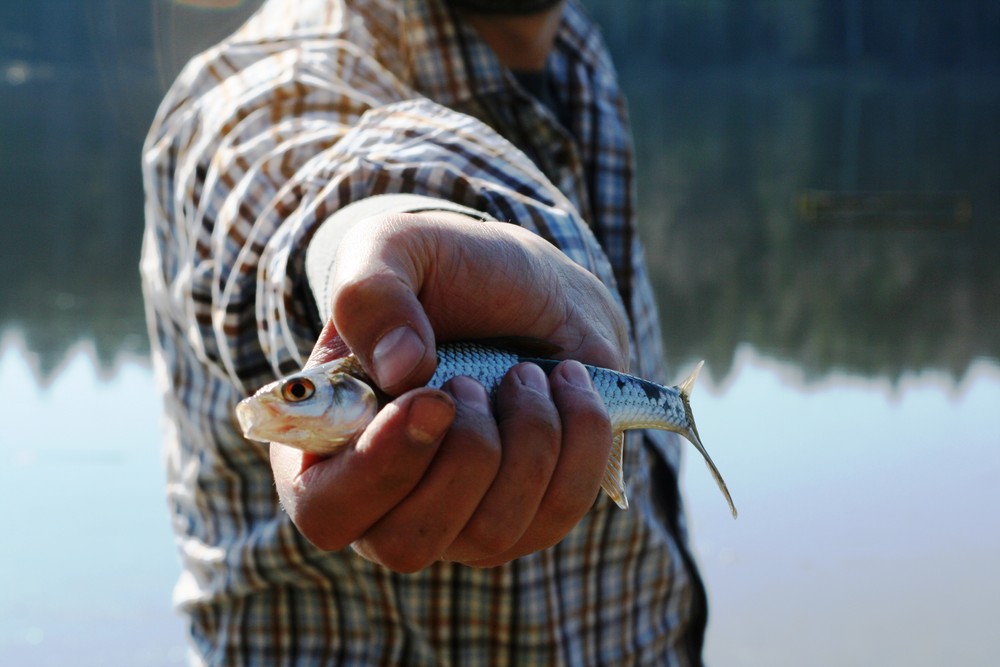 fishing