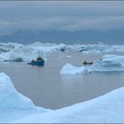 fishing among the icebergs