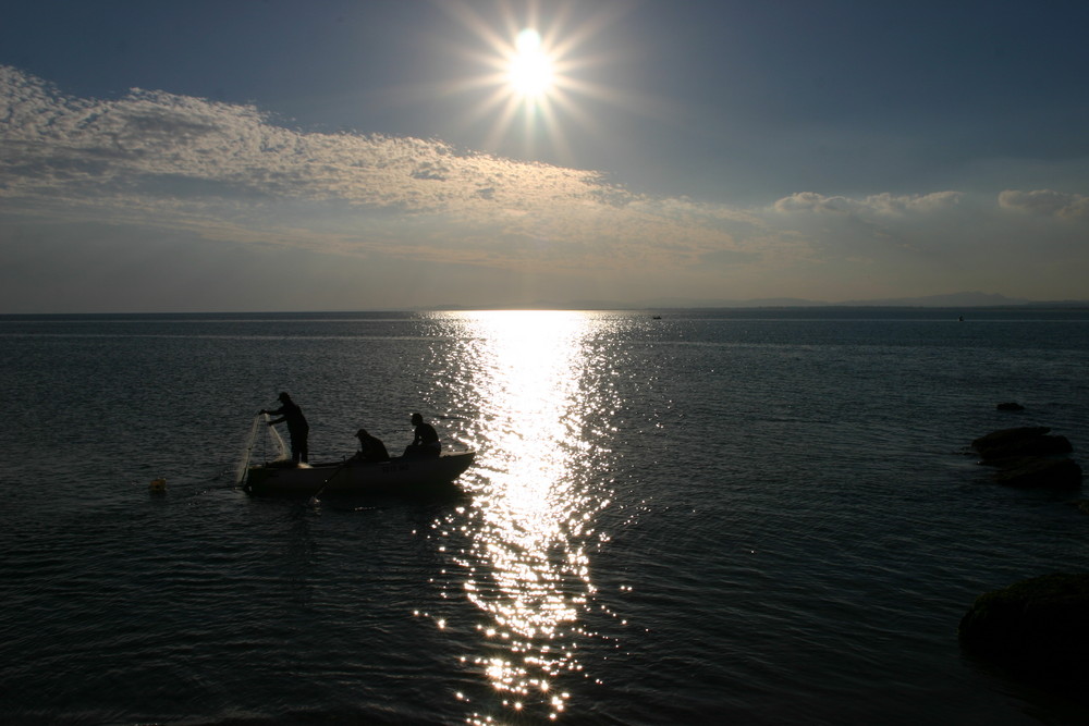 Fishing at sunset