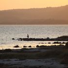 Fishing at sunset