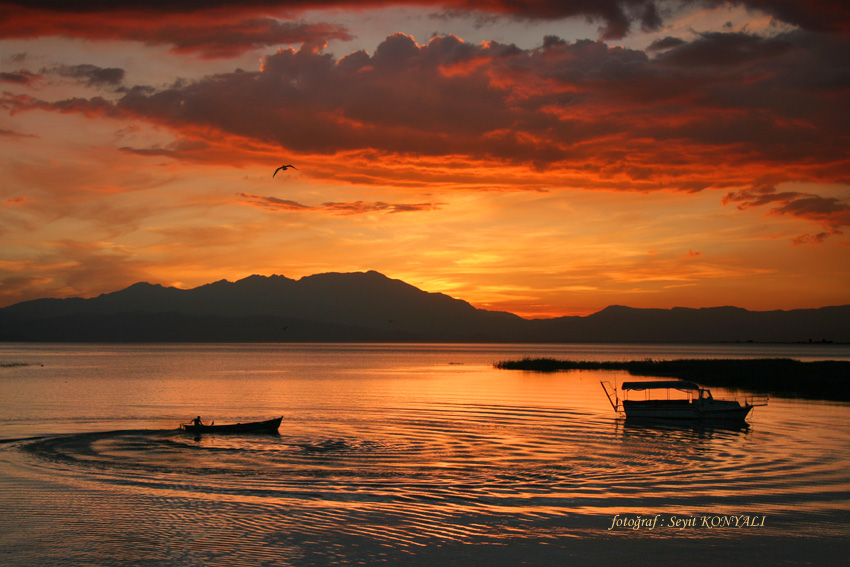 fishing at sunset