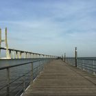 Fishing at Vasco da Gama bridge Lisbon