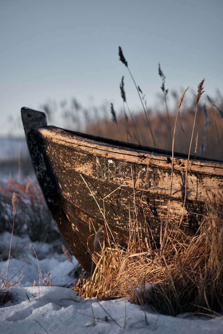 fishing boat