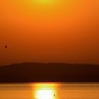 Fishing boat at sunrise