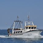 Fishing Boat Returning with Catch