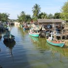 Fishing boats