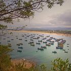 Fishing Boats