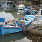 Fishing boats