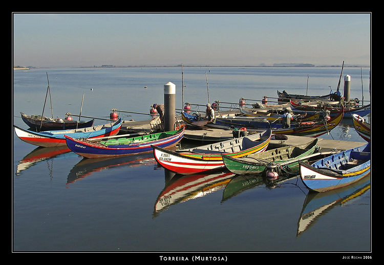 Fishing boats