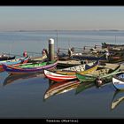 Fishing boats