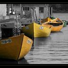 Fishing boats